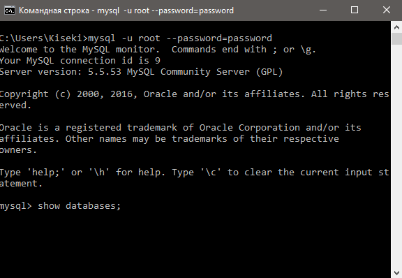 MySQL cmd show databases